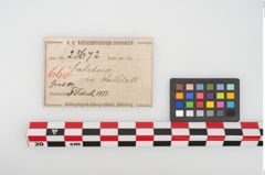 Etikett zu Bronzebrillenfibel (NHMW-PRAE-025672)